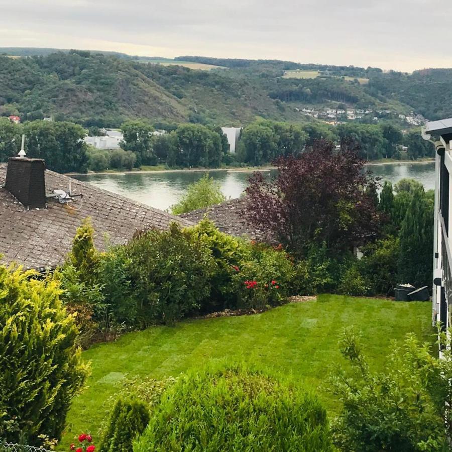 Rheinblick *