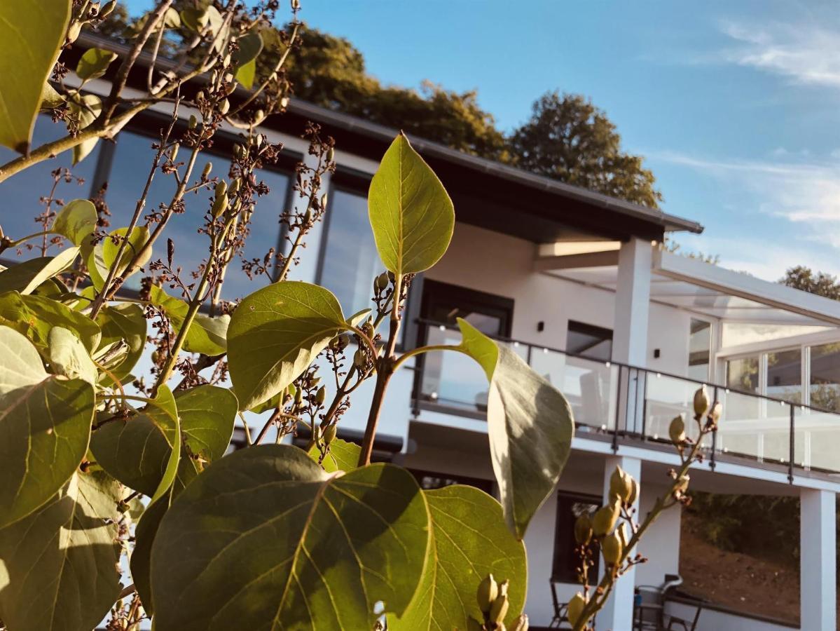 Rheinblick Appartement